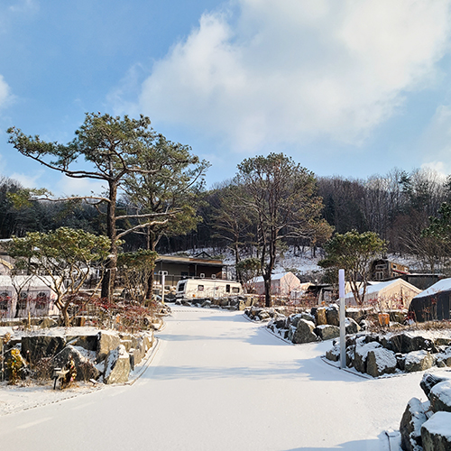 겨울