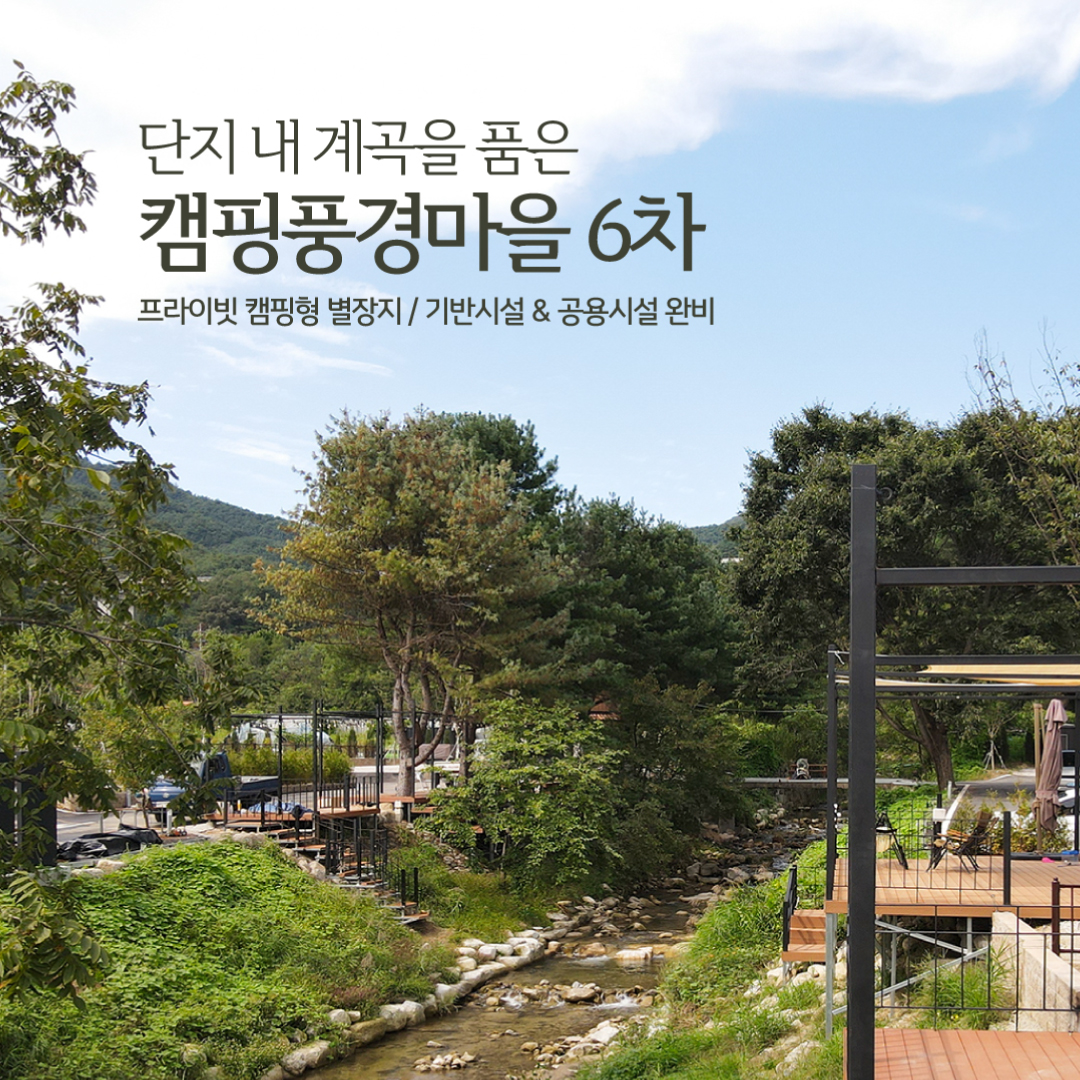 팝업